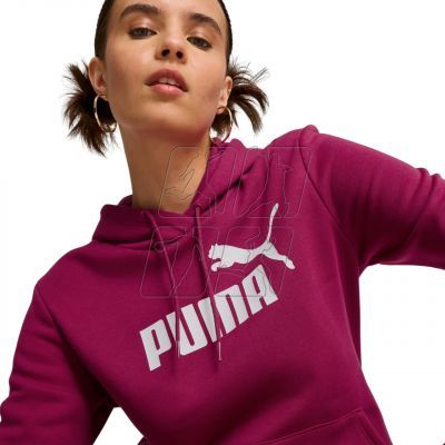 7. Puma ESS Logo Hoodie FL W 586789 52