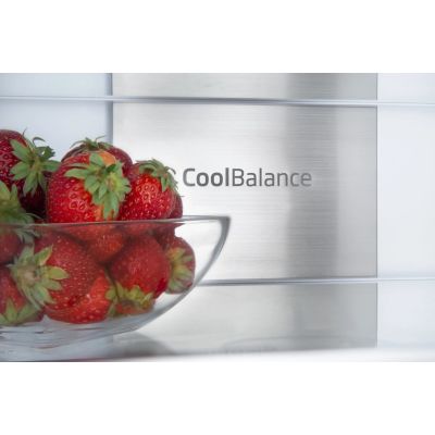 AMICA BK3055 built-in refrigerator. 6 NFM(E)