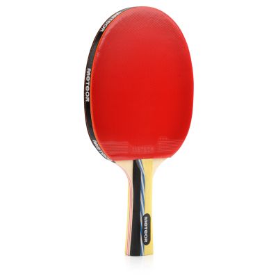 24. Meteor Mistral 15017 Table Tennis Racket