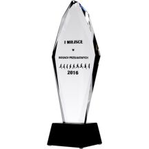 Engraved glass trophy + paint filling