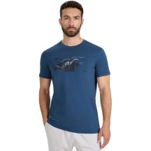 Men's T-shirt 4F M2359 sea green 4FWAW25TTSHM2359 46S