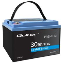 LiFePO4 Lithium Iron Phosphate Battery 12.8V 30Ah 384Wh BMS
