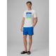 4. Men's regular printed T-shirt 4F 4FRSS26TTSHM4291-11S