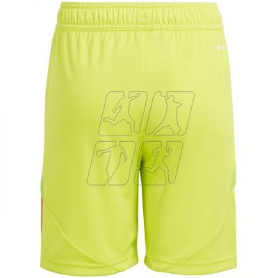 2. Adidas Tiro 24 Jr IT2421 shorts