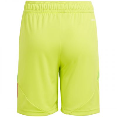 2. adidas Tiro 24 Jr IT2421 Shorts