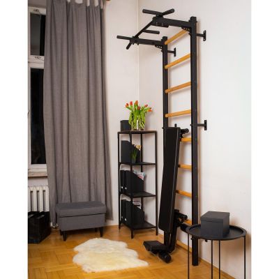 80. GYMNASTIC LADDER WITH A HAND BAR AND A BENCH KIT 723B
