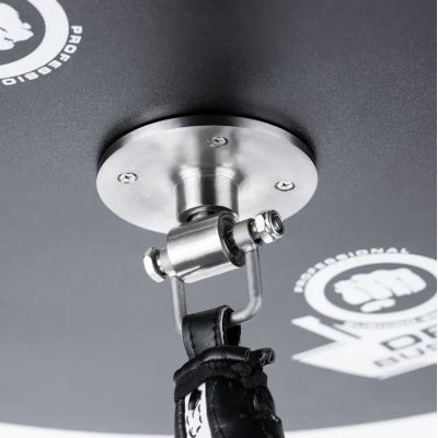 17. Boxing platform + pear DBX BUSHIDO DBX-P-11