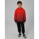 6. Boy's hoodie with all-over print 4F 4FJWAW26TSWSM2687-94A
