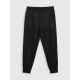 3. Men's jogger sweatpants 4F 4FWMM00TTROM1676-20S