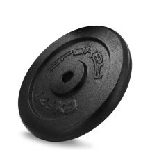 Cast iron weight 1.25kg Spokey Sinis SPK-944482