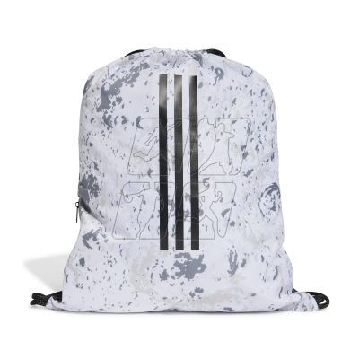 2. Adidas Juventus Turin shoe bag JE5999