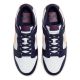 4. Nike Men's Dunk Low Retro Shoes FV8106-181