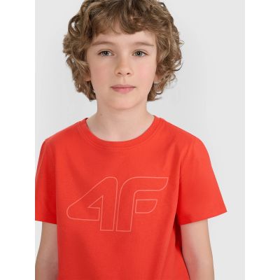 4. Boy's regular printed T-shirt 4F 4FJRAW25TTSHM3261-62S
