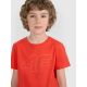 4. Boy's regular printed T-shirt 4F 4FJRAW25TTSHM3261-62S