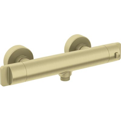 Thermostatic shower tap