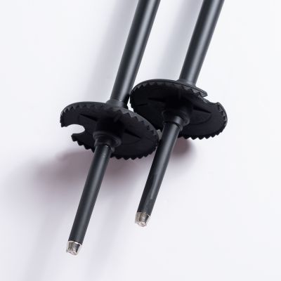 7. ALPINE SKI II poles