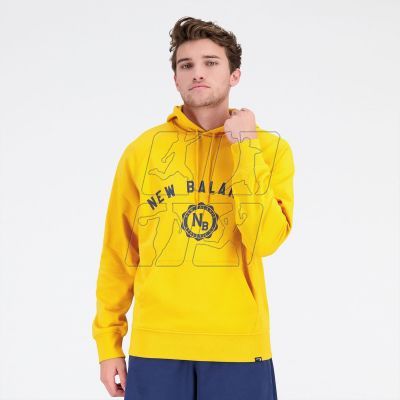 11. New Balance Sport Seasonal French Terry H VGL M sweatshirt MT31901VGL