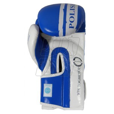 16. Boxing gloves Masters Rbt-PZKB-W 011101-02W