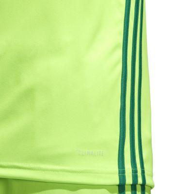 7. adidas Regista 18 Jersey M CE8973