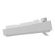 14. Keyboard GENESIS THOR 404 universal USB QWERTY English White