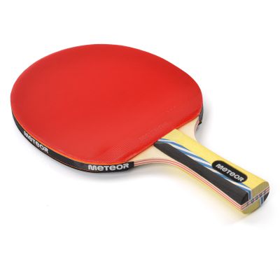 12. Meteor Mistral 15017 Table Tennis Racket