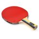 12. Meteor Mistral 15017 Table Tennis Racket