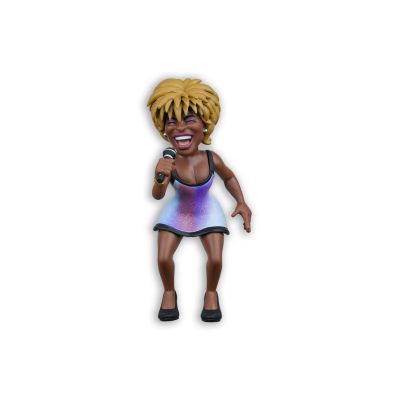 2. MINIX - TINA TURNER