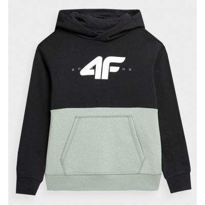 Sweatshirt 4F Jr 4FJAW23TSWSM628-47S
