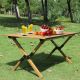 2. PROMIS TOURIST TABLE, FOLDABLE, ROLLABLE ST90