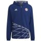 2. Jacket adidas FC Bayern GR WB M HT8828