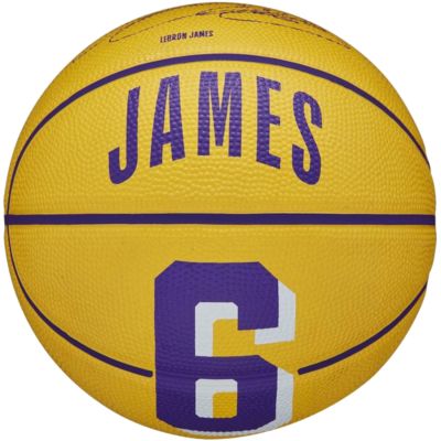 Wilson NBA Player Icon Stephen Curry Mini Ball WZ4007401XB