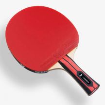 Butterfly Team Champion Table Tennis Bat