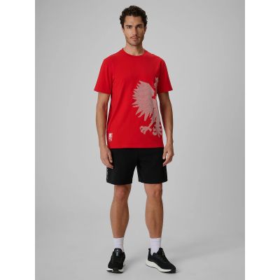 6. Men's cotton fan T-shirt 4F 4FRSS26TTSHM4200-62S