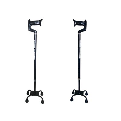 2. Quad cane