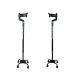 2. Quad cane