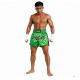 2. Men’s PASTEL GREEN V2 COMBATWEAR Muay Thai Shorts | DBX Bushido
