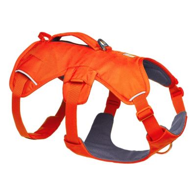 5. Ruffwear Web Master Harness - Blaze Orange, Size: M