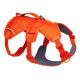 5. Ruffwear Web Master Harness - Blaze Orange, Size: M