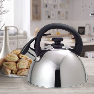 2. 2.5L MAESTRO MR-1302 kettle