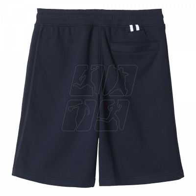 3. Adidas ORIGINALS Classic Fle Sho M AJ7630 shorts