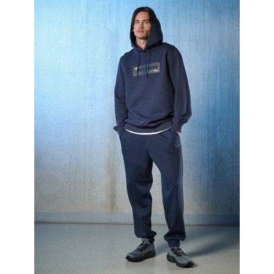 3. Men's regular hooded sweatshirt 4F 4FRSS26TSWSM2801-31S