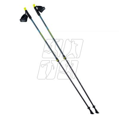 2. Nordic Walking poles Elbrus Blasimon 92800404936