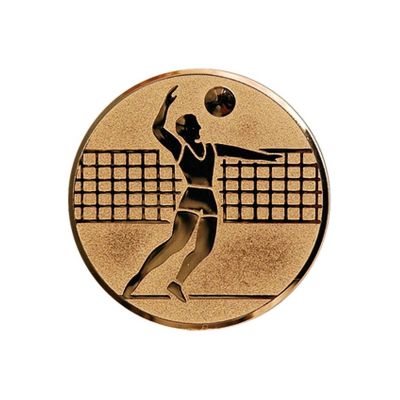 2. Bronze Aluminium Insert – Men’s Volleyball