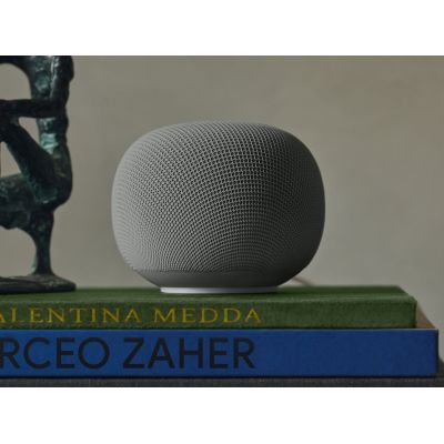 2. Google Home Gray