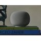 2. Google Home Gray