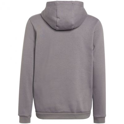 2. Adidas Entrada 22 Hoody Jr Sweatshirt H57515