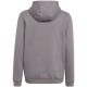 2. Sweatshirt adidas Entrada 22 Hoody Jr H57515