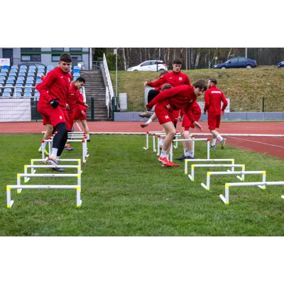 4. Pro Yakima Sport Training Hurdle 30cm 100008