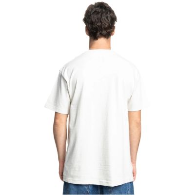 4. DC Corpo SS Tee ADYZT05396-SCVW Gray S