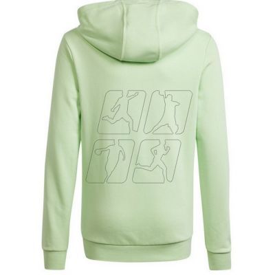 2. Adidas Big Logo Hoodie Jr IS2591 sweatshirt